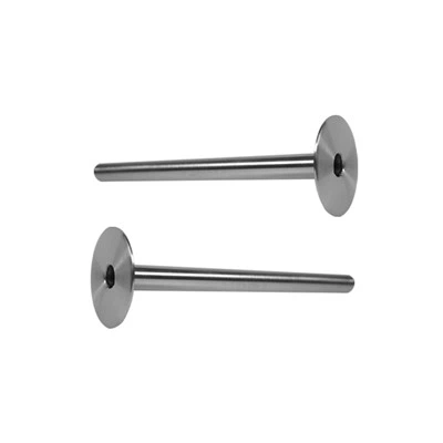 أنبوب حماية التنتالوم المزدوج الحراري